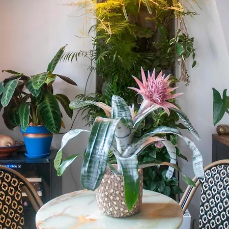 Nice&warm apt at 1 min from Boulevard Barbès Appartamento *